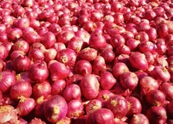 Onion costs sky-rockets, up 30-50% in simply two weeks: Report