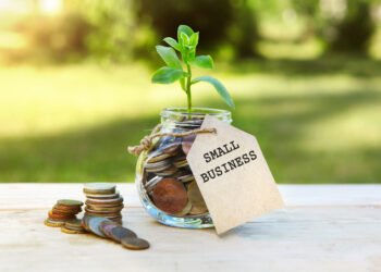 A information to small enterprise funding: Loans, eligibility and purposes