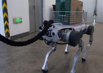 Homeland Safety to make use of robotic canines in raids
