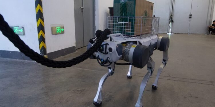 Homeland Safety to make use of robotic canines in raids