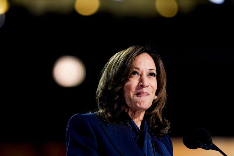 5 Methods Kamala Harris Can Assist The Franchise Neighborhood