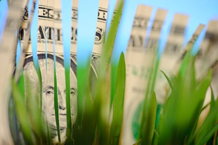 Central Banks and the Inexperienced Economic system: A Path to Sustainable Progress