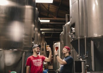 How one can Begin a Brewery: From Dream to Actuality