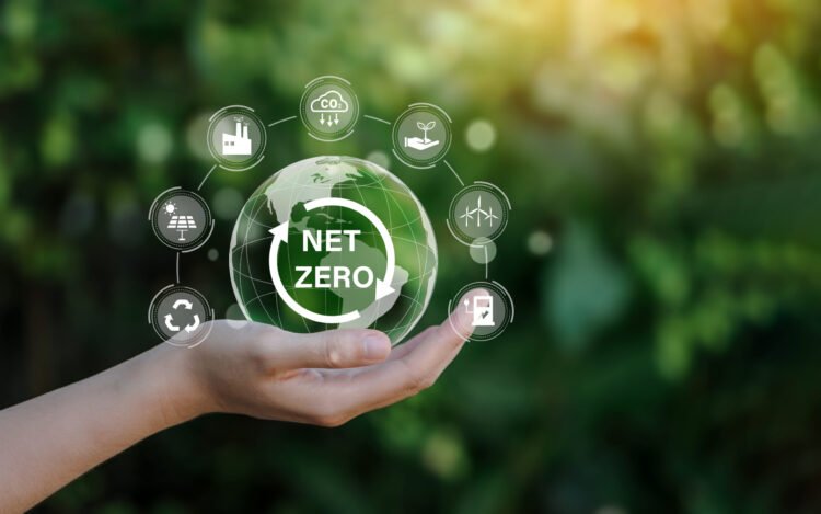 Can your online business assist to realize internet zero?