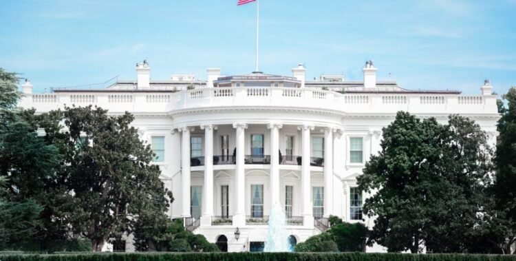 How the Monetary Insurance policies of Trump and Harris Might Influence Actual Property Traders
