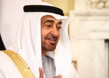 UAE hoping to develop $1 trillion partnership with U.S. by means of AI, Funding