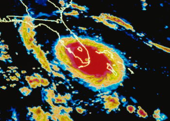 Avoiding Catastrophe with Disaster Bonds?