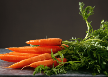Inexperienced Carrots and Sticks: Incentivizing Local weather Options