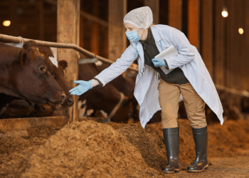 Animal Pandemics: An Neglected Threat?