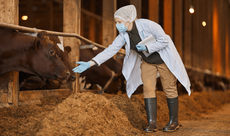 Animal Pandemics: An Neglected Threat?