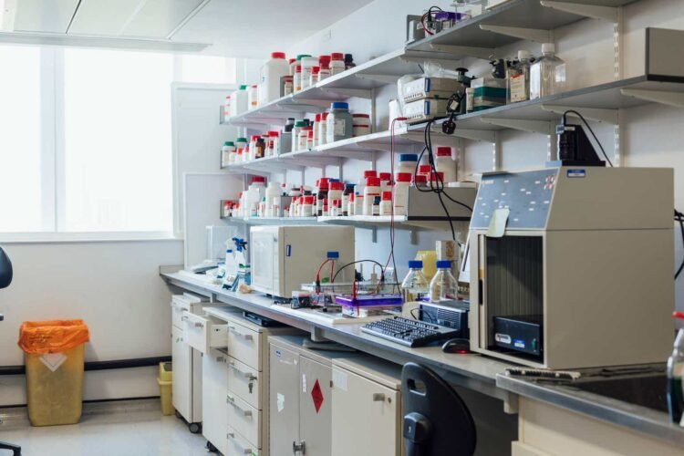 Upstream Bio Pursues $100 Million IPO Plan With Encouraging Trial Outcomes (UPB)