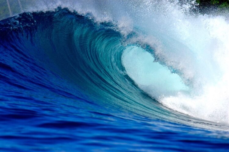 Wave Life Sciences Inventory Good points on Charge Cuts and Analyst Optimism