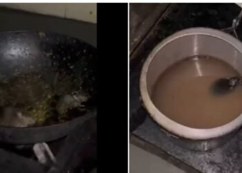 ‘No meals objects have been contaminated’: IIT Roorkee responds after movies of rats present in cooking pots in mess go viral