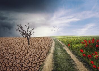 Monetary Planning By Altering Presidencies: My Journey