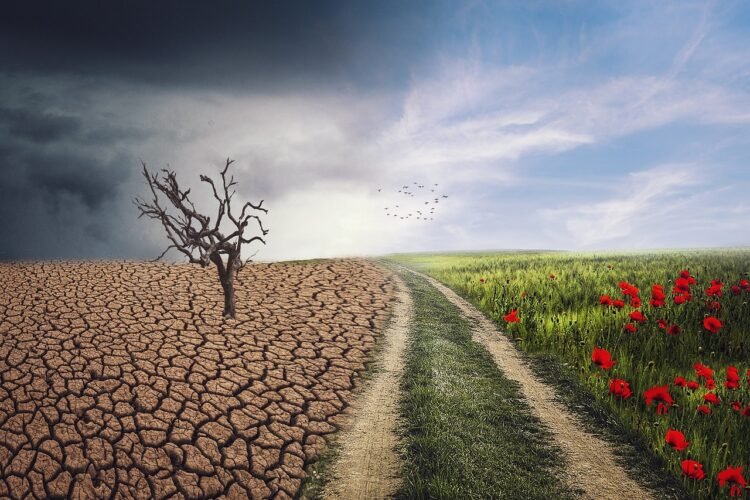Monetary Planning By Altering Presidencies: My Journey