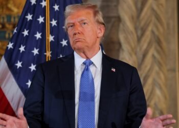 Trump meets TikTok CEO, Supreme Courtroom requested to dam app ban