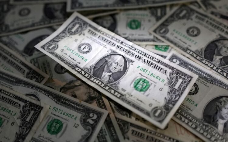 Greenback stands tall in 2024, propped up by cautious Fed, Trump commerce