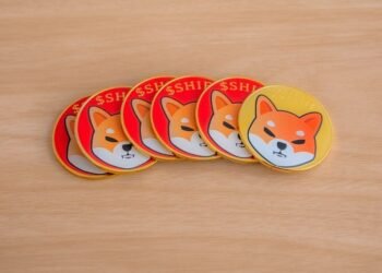 Shiba Inu Burn Charge Skyrockets 515.33% – Will The Value Enhance?