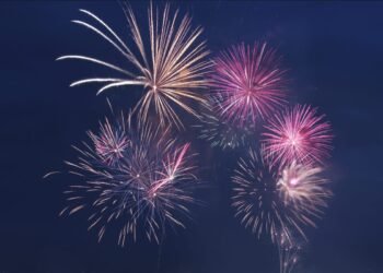 Analysis and Coverage Middle High 10 Articles from 2024