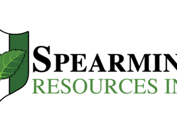 Spearmint Extra Than Doubles the Acreage of the George Lake South Antimony Venture in New Brunswick, Canada