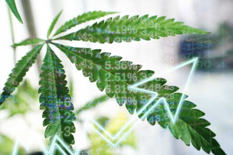 Hashish REIT Modern Industrial Properties Is Lastly A Purchase (NYSE:IIPR)