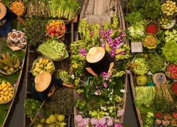 Distinctive Enterprise Concepts: Serve a Area of interest Market