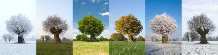 Seasonal Patterns Did not Work In 2024, How Does That Have an effect on 2025?
