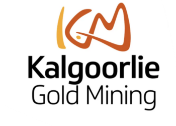 ‘Lighthorse’ Gold Discovery at Pinjin: Thick, Excessive-grade Gold Intercepted at New Greenfields Discover