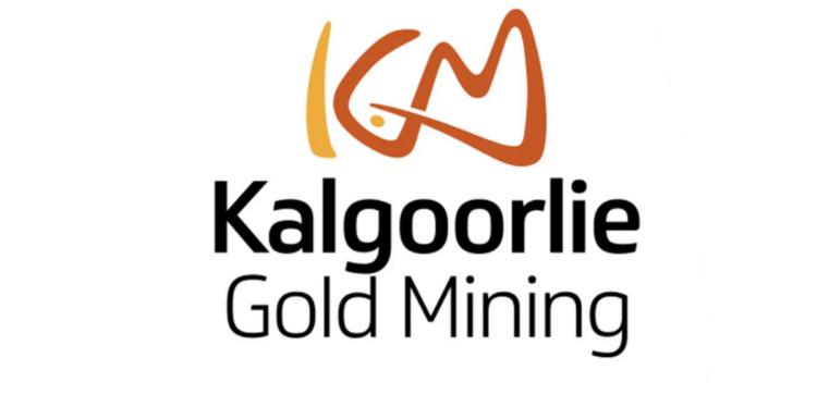 ‘Lighthorse’ Gold Discovery at Pinjin: Thick, Excessive-grade Gold Intercepted at New Greenfields Discover