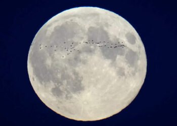 This is a take a look at moon touchdown hits and misses