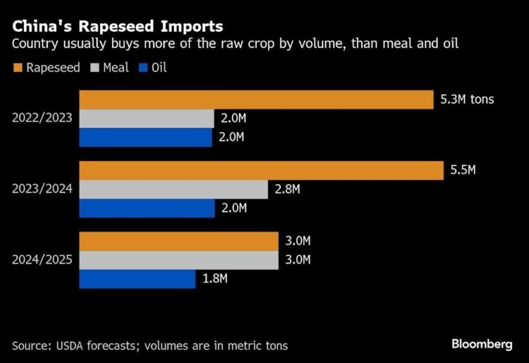 China Rattles Crop Markets With Levies on Canadian Farm Exports