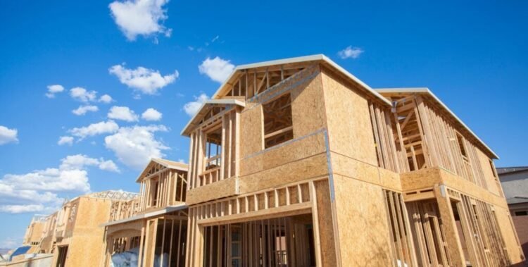 A Pathway to Lengthy-Time period Development and Stability for Traders