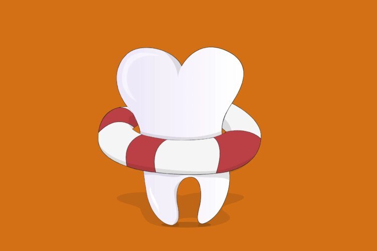 7 Finest Dental Insurance coverage Plans of 2024