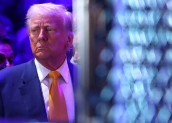 Trump says he’ll have a look at ‘complete digital provide chain’
