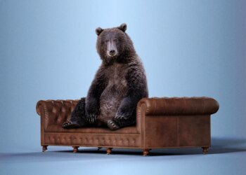 Recession Vs. Bear Market: Which is Worse?