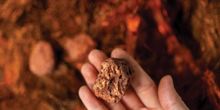 Cyprium Beneficial properties Full Management of Paterson Copper Mission as IGO Withdraws
