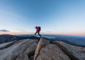 How Purchasers’ Funding Objectives Mirror Threat Habits and Hidden Biases