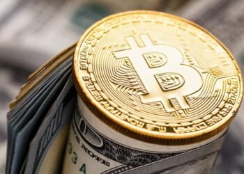 Ark Make investments’s Warning To Bitcoin Treasury Firms, Peter Schiff’s BTC Prediction And Extra: Prime Crypto Updates This Week