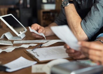 Fundamentals of small enterprise accounting: ideas and instruments for newcomers