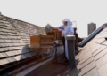 The right way to develop into an city beekeeper