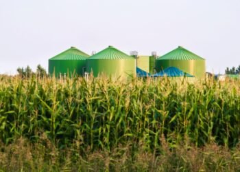 The Little-Recognized Credit score Holding Up the Clear Gasoline Market