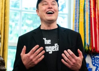 Elon Musk’s court docket fights to outlast his time at White Home