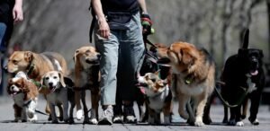 Why ordering takeout or calling the dog walker might lead to a happier relationship