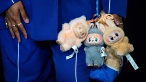 Labubu is cute, rare and popular — but is the craze globally sustainable?