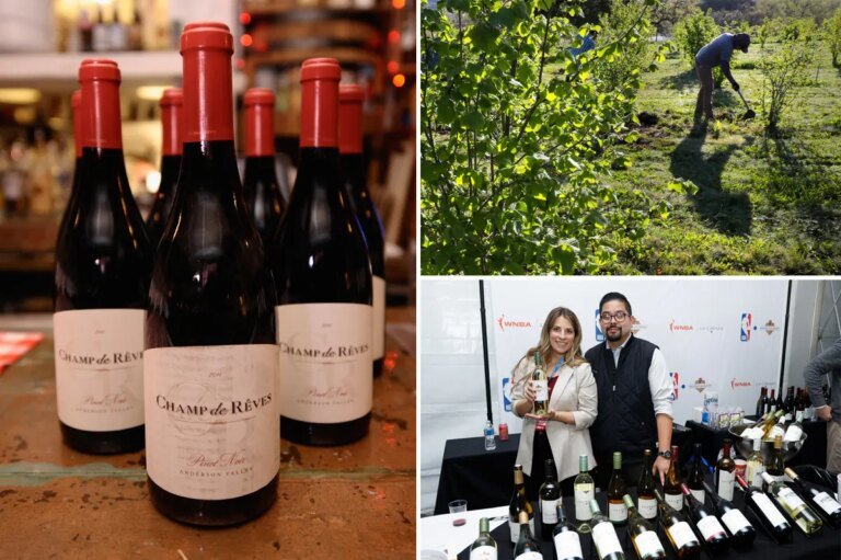 Another California wine giant shuts site and axes staff as chaos flows across Napa Valley