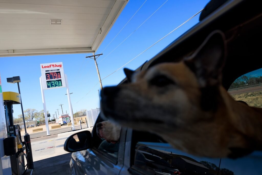 Financial markets fall to new 2026 low as oil rises again