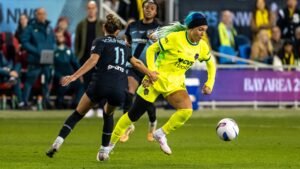 Pricey NFL, NBA ownership stakes push investors to smaller leagues