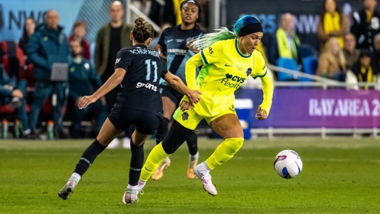 Pricey NFL, NBA ownership stakes push investors to smaller leagues