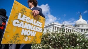 Trump psychedelics executive order and what it means for cannabis