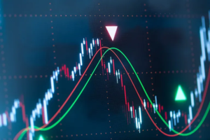 Value versus Growth: What Drives the Value Premium